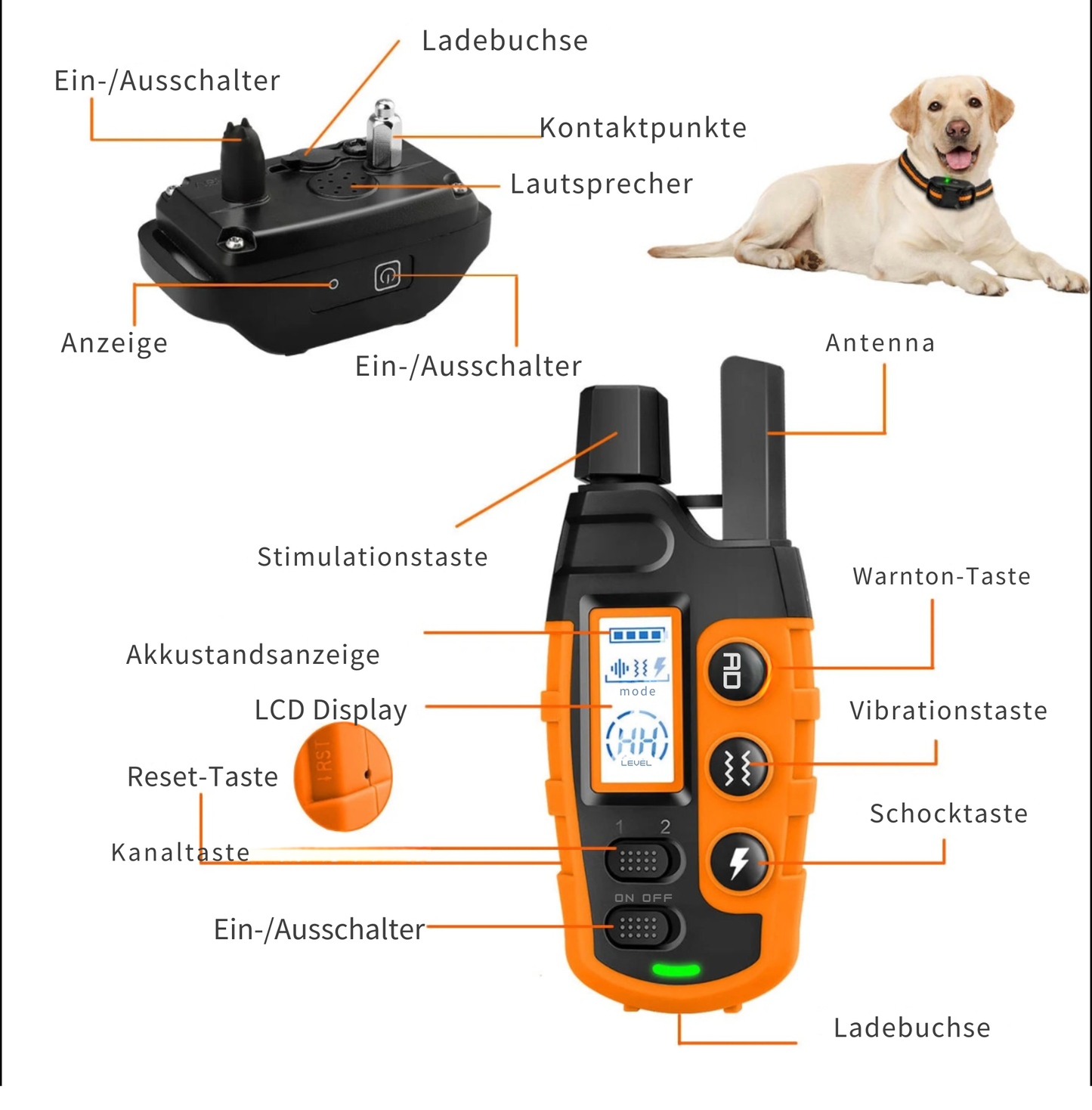 PawTrack Mini™ – GPS-Tracker für Hunde & Katzen