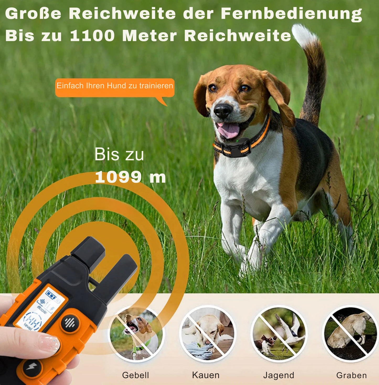 PawTrack Mini™ – GPS-Tracker für Hunde & Katzen