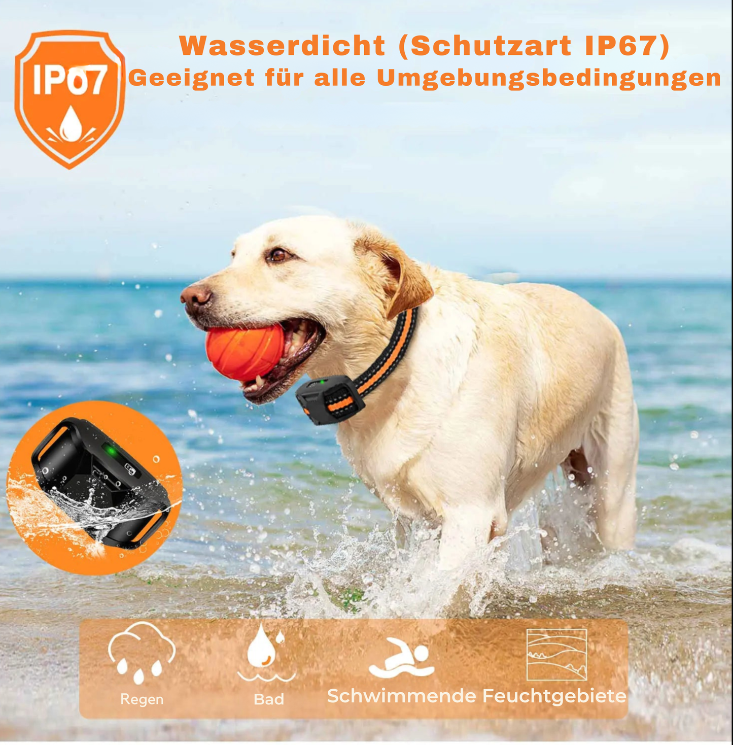 PawTrack Mini™ – GPS-Tracker für Hunde & Katzen