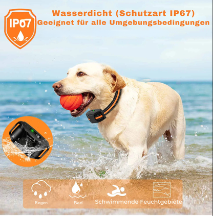 PawTrack Mini™ – GPS-Tracker für Hunde & Katzen
