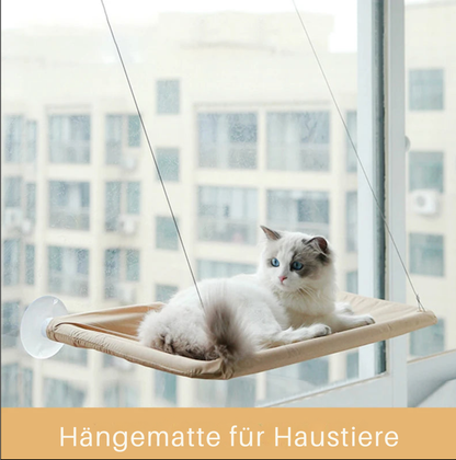 PurrView™ Fensterliege