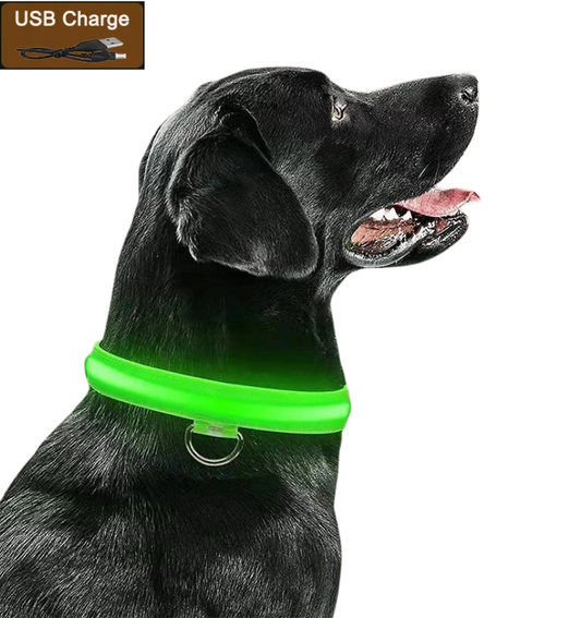 LumiPaw™ GlowGuard Halsband