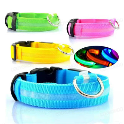 LumiPaw™ GlowGuard Halsband