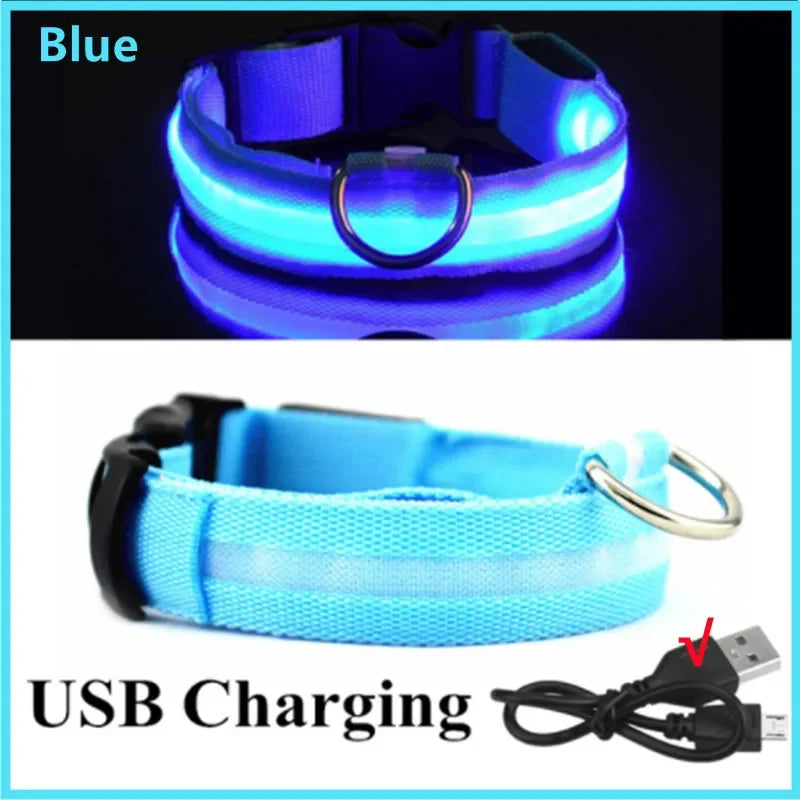 LumiPaw™ GlowGuard Halsband