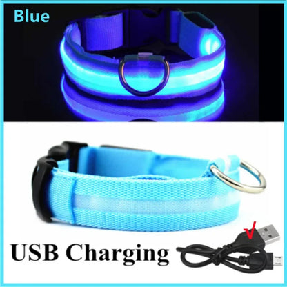 LumiPaw™ GlowGuard Halsband