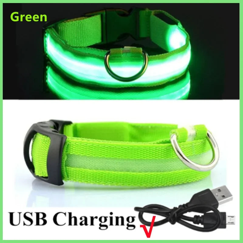 LumiPaw™ GlowGuard Halsband