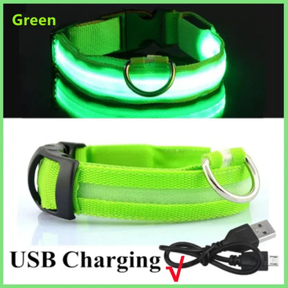 LumiPaw™ GlowGuard Halsband