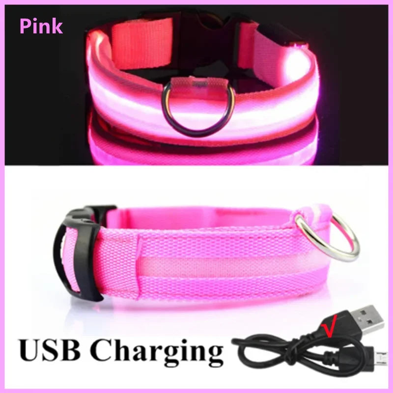 LumiPaw™ GlowGuard Halsband
