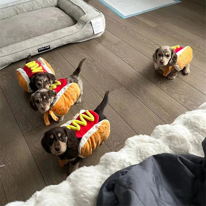 HotDawg™ – Das Lustigste Halloween-Kostüm für Hunde 