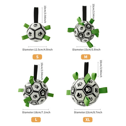 PawJoy™ Interaktives Plüschspielzeug 